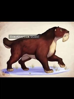 #homotherium ! Based the colors off of the recently described remains of a mummified cub! #scimitartoothcat #paleoart #paleontology #pleistocene #iceage #prehistoric #sabertooth #speeddrawing #artwork #timelapseart #speedpaint #procreate #artistontiktok 