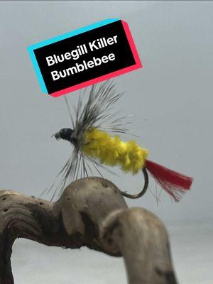 How to tie a simply bluegill fly #flyfishing @Tim Cammisa | Fly Fishing#Outdoors #troutfishing #brooktrout #brooktroutfishing #flyfishingnation 