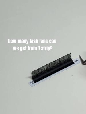 messed up on a few, would’ve been over 50 fans! 💫 1strip = 50 lashes 16 strips in each tray = that’s about 800 fans!!!! our cashmere trays are a FAN FAVORITE 🖤 shop in bio 🔗  #lashtrays #cashmerelashes #cashmerelash #lashglue #lashproducts #lashextensions #lashtech