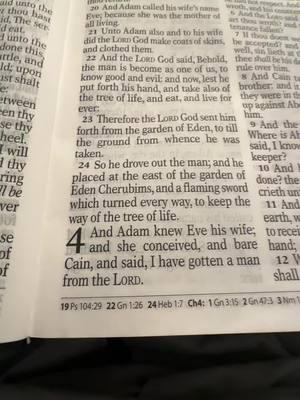 #readthebibleinayear #readthebiblewithme #theholybible #thanyoulordforeverthing #1yearbiblereadingplan #thankyoulord #KJV #achistty 