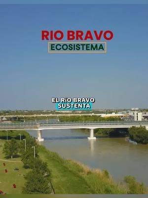 RIO BRAVO: Cultura, Historia, Ecosistema, Fauna y Sistema Bilateral Mexico- Estados Unidos ##frontera #tamaulipas #piedrasnegras #ciudadjuarez #riobravo #riogrande #laredotx