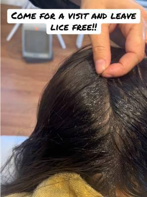 Don’t go into the new year scratching!  Come to one of our five locations and leave Lice free!  This is our promise to you! #m#myhairhelpersnaturalheadlicestorel#liceremovalsalons#licetreatmentt#topratedliceremoval#headlice#licefreecharity