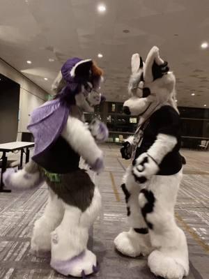 I wanna dance with you ❤️ #Furryfandom #dance #ANWFurryCon #transgenderftm #fypシ゚viral #transnonbinary🏳️‍⚧️ #transman #hesmymanzs #owenwolf #kcwolfechild  