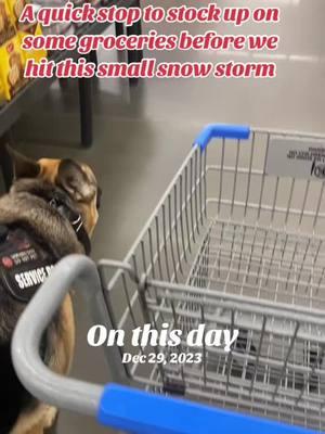 #onthisday #servicedogduke #fypシ゚viral #fyp #foryoupage #trucker #truckerlife 