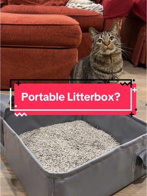 Have you considered bringing your cats with you on a trip? 👀 #cats #catlove #catvideo #kittycat #litterbox #foldablelitterbox #kittycats #kitty