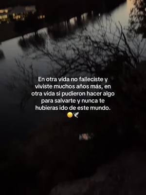 🥺🕊️😞…….                                                      #fyp #paratii #abuelos #hastaelcielo #muerto #angel #cielo #noches #fypシ #paratiiiiiiiiiiiiiiiiiiiiiiiiiiiiiiiiii 