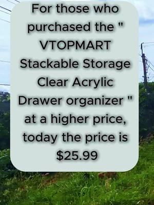 Run! 4 pack acrylic bins only $18.00. These are great to organize craft supplies, makeup, bathroom cabinets and medicine cabinets. Perfect to organize everything! #organizationhacks #craftroomorganization #makeuporganizer #cabinetorganization 