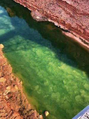 Colorado river at the Navajo Bridge in Arizona #traveltiktok #solotravel #marblecanyonaz 