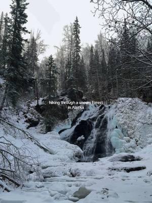 go on that winter hike 🗻 #anchoragealaska #alaska #barbarafalls #winterhike #waterfalls #fypシ 