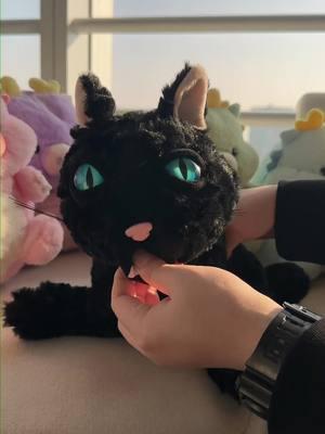 34cm/13.38in Black Cat Plush Toy! #34cm #13.38in #Black #Cat #Plush #Toy #Cute #Dinosaur #Design #Plush #Toy #TikTokShopLastChance #TikTokShopNewYearNewAura #spotlightfinds #fyp #gift #lovegift 