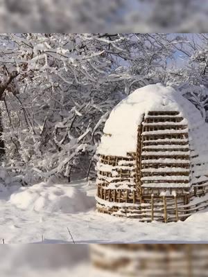 Building a bushcraft shelter for winter survival in the wilderness #bushcraft #build #camp #camping #survival #shelter #Outdoors #outdoor #viral_video #fyp