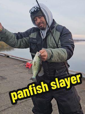 @Panfish Nation @Panfish Slayers @B'n'M Poles @Jonathan Antonio lumbreras gar @Crappie Guru @CrappieNOW @Yam Yam @903 Fishing Official @morethanfishing @HOOK2COOK @Hook N’ Look @Crappie_Adventures @crappie fishing @Crappie.Elite.Outdoors #fishingtiktoks #spot #fishon #crappiejig #morning #crappie #crappiefishing #redearsunfish #shellcracker #redear #bluegill #bluegillfishing #fishtok #fishinglife #fisherman #sunfish #panfish #gulp #bobbygarland #worms #moglo #monkey #milk 