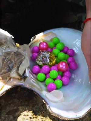 🎁🎁The girl accidentally discovered a giant clam with precious colored pearls inside, so charming #pearl #pearlhunter #seafood #jewelry #pickingpearls #huntingpearl #fyp #foryou #tiktok 