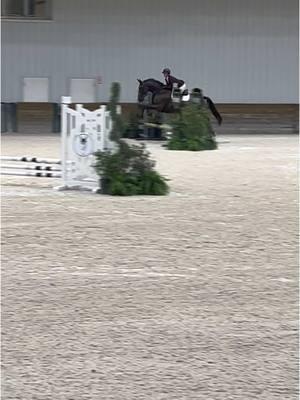 Because Squishy always has that one moment when a seven becomes a five. #vroomvroomMFer #wecocala #whrxceptional #babyhorseintraining #walkingthelines