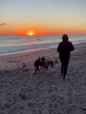 #cubanosporelmundo🇨🇺 #goodvibes #dogmom #doglover #welcome2025 #fyp #sea #oceanlife #oceanlover #sunrise #sunriseview #sunriselover 