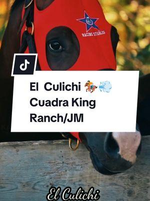 #CapCut #reflexion #caballos #caballosdecarreras #elculichi🏇💨 #cuadrakingranch #carrereroshit🏇💨💥 #carrereros #horseracing #horsesoftiktok #cuadraspoderosasdeusa #shakalozachikagopromotions🐴⚜️🏇 #migustomipasion🏇💨 #creadoradecontenido #creadoradecontenidodecaballos #paratiiiiiiiiiiiiiiiiiiiiiiiiiiiiiii #fypシ゚viral #pa #shakaloza #cuadrajm 