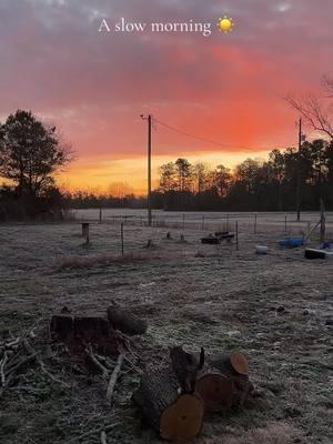 How could you not love this life?🥹 #farmland #fyp #northcarolina #sunrise 