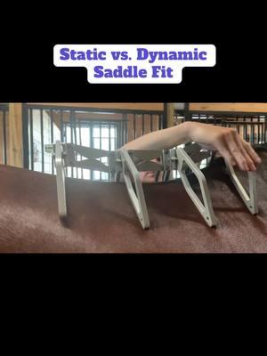 Let’s talk static vs. dynamic saddle fit! Do you know the difference? Schleese’s 80 Point Saddle Fit Evaluation Program measures 55 points to your horse and 25 points to you to find the best fit for both. Every adjustment is made with consideration of both static and dynamic fit. Head to our website to sign up for your fitting today! 🐴  #schleese #saddlefit #fitting #clinics #education 