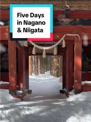 With the country-wide Japan Rail Pass now being much more expensive, it’s often far more advantageous to opt for one of JR’s regional offerings. To illustrate this, I recently snagged a JR East Pass (Nagano, Niigata Area) and went on an epic five-day adventure. During my travels, I visited: 📍 Togakushi Shrine 📍 Zenko-ji 📍 Ogawano Shodaimon-ten (Oyaki) 📍 Snow Monkey Park 📍 Monzen-Sakaba Yamazato (Basashi) 📍 Tsubame Industrial Museum 📍 Yahiko Shrine 📍 Ponshukan (Bakudan Onigiri) 📍 Pier Bandai 📍 Echigo Yuzawa 📍 Yuzawa Museum of History & Folklore In addition to these spots, I also took advantage of the pass’s coverage in the greater Tokyo area to swing by Mt. Mitake and Okutama on the first day. If you’re planning to explore central Japan—or even just areas around Tokyo like Nikko, Karuizawa, etc.—this pass is sure to save you some yen on your next trip! #Travel #Japan #Chibu #Nagano #Niigata #JapanRailways #JREast #WinterInJapan 