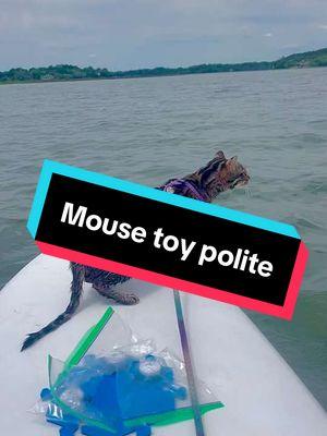 #floundercat #floundermeatloaf #flounderkitty #bengalcat #ocelot #leopardcat #catsoftiktok #bengalcatsoftiktok #bengalcatlove #purrmaid #fikitheislandcat #talkingcat #catsthattalk #petsthattalk #talkingpets #paddleboardingcat #adventurecat 