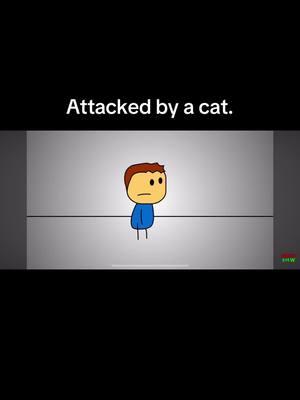 #brewstew #fyp #viralvideo #cat #attack 