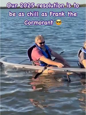 Frank just loves to swim under our guest’s kayaks looking for fish and hanging out with our tour group🐟  Have you ever had a cormorant dive under your kayak??🐦 📍Shell Key Preserve Clear Kayak Tours Shell Key Preserve is a pristine barrier island off the coast of Pinellas County, Florida, known for its natural beauty and diverse wildlife 🌊🏝️ This means that we have all sorts of wild visitors on our tours 👋🏻 WILD FLORIDA is calling, and closer than you think!  Clear kayak tours everyday through Shell Key Preserve 🐚🏝️ 🔔 @getupandgotampabay  #explore #exploremore #guidedtour #ecoadventure #clearkayak #paddlelife #cormorant #doublecrestedcormorant #birdsofinstagram #divingbirds #tampabay #thingstodotampabay #visitstpeteclearwater #stpetebeach