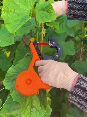 🌱⏱Say goodbye to manual plant strapping! With this plant strapping machine, you can finish what would normally take 2 hours in just 10 minutes 🌿✨. Works on a variety of plants and makes your gardening tasks so much easier and faster! 🌻💨 #GardeningTools #PlantCare #GardeningHacks #TimeSaver #PlantLovers #EasyGardening #DIYGarden #GrowYourOwn #EfficiencyBoost #GardeningMadeEasy #GardenGoals #PlantStrapping#TikTokShopLastChance#TikTokShopNewYearNewAura#spotlightfinds 