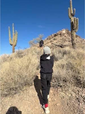 Family fun .  This year we will be exploring a lot more since we only have a year and a half left in this beautiful state 🤩 #arizona #familyfun #kidfriendlyhikes #arizonakids #explorearizona #fyp #regionalpark #lakepleasant  #travelingwithkids #exploringwithkids #thingstodoarizona #outdoorliving #exploringarizona #grandcanyonstate 