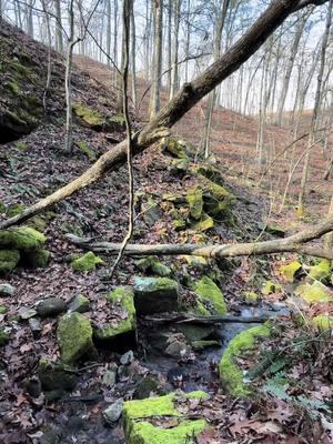 Awesome grotto in the land of Nod #fyp #arkansas #outdoorlife #hikertok #hikingadventures #explorearkansas #followme 