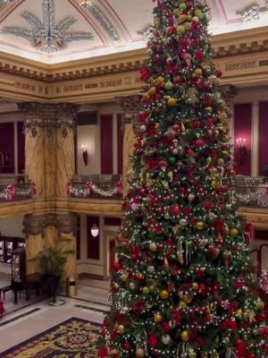 Now that the season is coming to a close, I wanted to share a recap of this years decor at The Jefferson Hotel for those of you what couldn’t visit in person to still enjoy! What a thrill it was to bring the magic of the season to this beautiful space. I hope you enjoy these highlights! ✨💚. #christmas #jeffersonhotel #howiseeit #homedecor #christmasinspo #newyear 