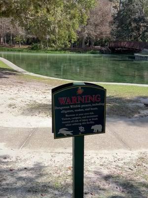 No one is swimming! #bears #snakes #alligators are frequently spotted at the Springs. Usually people still swim.  However, during the reptile and beer convention it is rare to see anyone swimming. 🐊🐍🐻