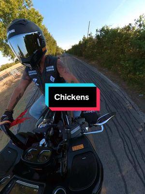 Chickens 🐓 gotta stay ready. #fyppp #foryou #biketok #bikertok #bikerslife #fyplife #MentalHealthAwareness #countrygirl #florida #floridacountry #floridagirl #phototrend #trending #trendingvideo#biker #bikers #fypppp #bikergirl #bikergirls #sunshine #relatabletiktoks #bikerbabe #trendingvideo #motorcycleedit #bikervideos #videobiker #capcutedit #bikerlife #bikergirls #bikerbabesoftiktok #ladybiker #bikerchick #harleydavidsonmotorcycle #bikergram #MentalHealthAwareness #MentalHealth #bikersoftiktok #womenonbikes #bikewoman #girlswhoride #lovetoride #tattooedgirlsoftiktok #tattooed #tattedbikergirl #ride #gothbabe #gothbikerbabe #inkedbabe #womenwhoridetheirown #femaleswhoride #situationship #gothgirls #motorcycle #harleydavidsonbikes #bikergirl #texasgirls #biker_ #instagood #bikerslife #motorcycles #ride #bikersoftiktok #motorcyclesvideo #tattooedbikerbabe #girlsandbikes #womenwhoridemotorcycles #womenwhorideharleys #ladyrider #harleyladyrider #girlswithmotorcycles #girlsonmotorcycles #floridagirl