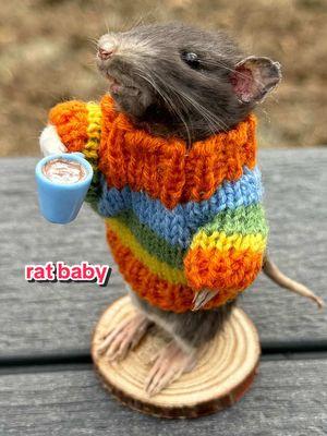 show this little guy some love! and if you want him on your shelf take a trip over to *nsta and make him yours!  #aesthetic #taxidermy #rats #fyp #foryoupage #tiktok #oddities #nature #art #newyear #cozy #winter 