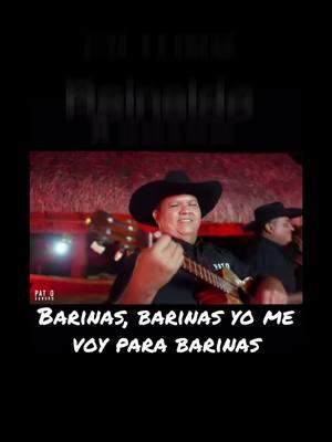 🙏🏻 Bendecido Viernes mi gente criolla y parrandera🙏🏻   ✅ Lo mejor del llano para ustedes ✅ 🙏🏻 Viva Dios, Viva la vida 🙏🏻 🇻🇪Viva Venezuela y su gentilicio 🇻🇪      #️⃣ Reinaldo Armas “El cardenal Sabanero” #️⃣   🔝 Tema: Barineando 🔝       ❇️ todos los créditos y derechos reservados a sus autores ❇️  ➡️ Cantocoleoysabana tu vitrina folklorica.        #GraciasDiosporunnuevodía  #venezolanosenelmundo #llanerosporelmundo #venezolanosenusa🇻🇪🇺🇸 #venezolanosenespaña🇻🇪🇪🇸 #venezolanosenmexico🇻🇪🇲🇽 #venezolanosencolombia🇻🇪🇨🇴 #venezolanosenecuador🇻🇪🇪🇨 #venezolanosenperu🇻🇪🇵🇪  #venezolanosenchile🇻🇪🇨🇱  #venezolanosenargentina🇻🇪🇦🇷 #venezolanosenuruguay🇻🇪🇺🇾  #venezolanosenpanama🇻🇪🇵🇦  #venezolanosenbolivia🇻🇪🇧🇴 #venezolanosencentroamerica🇻🇪🇵🇦🇨🇷🇳🇮🇭🇳🇬🇹🇧🇿 #venezolanosenitalia🇻🇪🇭🇺  #venezolanosenalemania🇻🇪🇩🇪 #apoyandoelfolklore #lonuestroesprimero