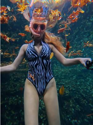 meanwhile in Florida 🍁 #dive #freedive #snorkel #alltheleavesarebrown #underwater #underwaterworld #fall #leaves #autum #florida #floridasprings 