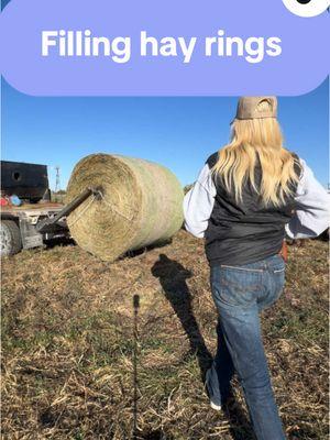 Filling up hay rings #agtalkwithalex #fyp 