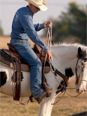 Why me 🚫 Try me ✅  Face the challenge.  #ApplyTheMethod #downunderhorsemanship #clintonanderson #horsetrainer #horse #horsetraining #horsemanship #motivation 