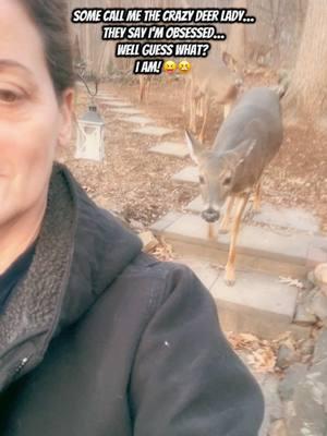 Don’t be jelly 😋 #deeroftiktok #deer #nohunting #myworld #naturevibes #deerparadise #myparidise #fyp #foryoupage #foryourpage #blowup 