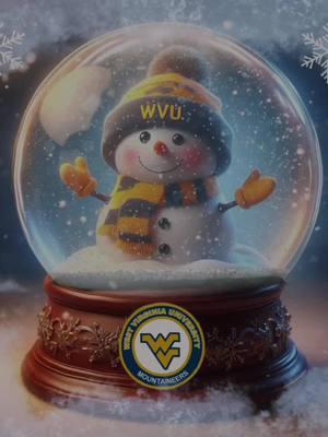 #letitsnow #wvu #morgantownwv #winter #weather #snow #snowglobe #fyp #snowman #westvirginia #wvudad #snowday @WVU 