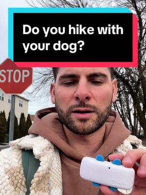 Adventuring with your dog stress-free! 🐾✨ Whether we’re hiking the trails or exploring off-leash, the gos dog tracker keeps Harry safe and gives me total peace of mind. 🐕💛 Know where your pet is at all times. Would you try this for your adventurous pup? 🌲📍 #doglovers #petsafety #adventureseeker #Hiking #hikinggear #hikingwithdogs #doghike #dogadventures 