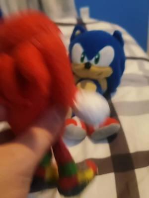 #sega #sonicthehedgehog #knucklestheechidna #amyrose #sonicplush #plushies #random 