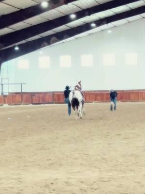 She does good everyday & never sees it! @PayDen Bennett🪶 #rodeofamily #goattying #painthorse #rodeomom #cowgirl #fyp 