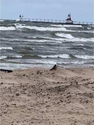 #themitten #winter #lakemichigan #nature #swmichigan  