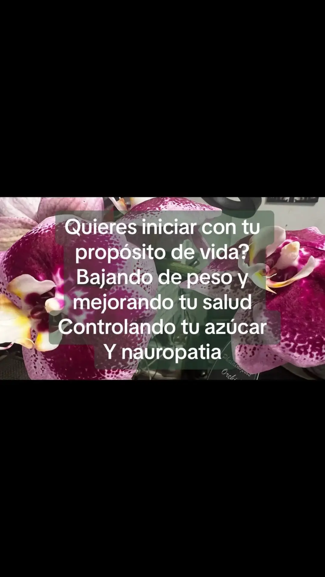 #SaludYNegocios #BienestarFinanciero #EmprendeDesdeCasa #NegocioDigital #ImpactaVidas #FranquiciaSaludable #SaludMetabólica #TrabajoDesdeCasa #SueñaEnGrande #TuMomentoEsAhora 🚨