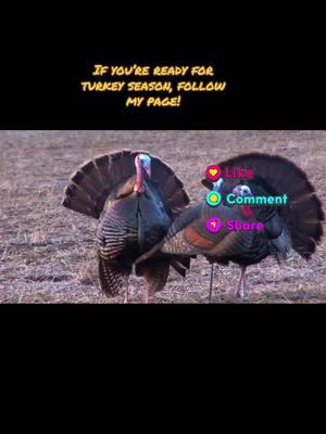 If you like hunting fishing and everything outdoors, share this and like and follow my page! #FYP #ForYouPage #Hunting #Outdoors #DeerHunting #BowHunting #TurkeyHunting #Turkeys #Gobbling #TheRut #ViralVideo