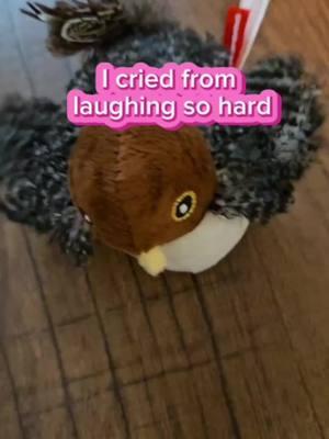 Laughing so hard I cried. My dog Brownie gets bored easily but this Flapping bird kept her busy for hours. @Potaroma LLC #fyp #fypage #fypviral #viral #viralvideo #viraltiktok #TikTokShop #tiktokshopping #tiktokmademebuyit #sale #flashsale #coupon #musthaveproducts #musthave #flappingbird #flappingbirdcattoy #flappingbirdtoy #dogtoy #cattoy #cattoys #dogtoys #dogs #cats #pet #pets #PetsOfTikTok #petproducts #petaccessories #petessentials #petsupplies #dogaccesories #dogproducts #dogessentials #chirping #chirpingbirds #interactivedogtoy #interactivecattoy #funtoyforcats #durable 