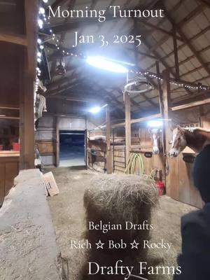 #barnlife #BIGs #ourheaven #draftyfarms #blessed #207 