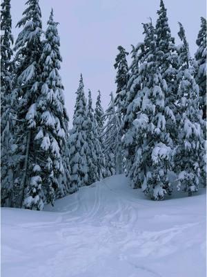 Always the mountains 🏔️ #whatmakesyourhearthappy#whatmakesyouhappy#whatmakesyousmile#mountains#pnwlife#pnwonderland#winterwonder#winter#fypシ#adventure#ski#pnw 