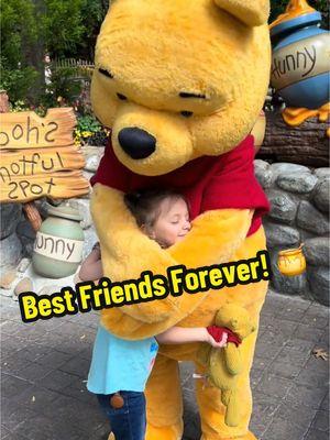 Best friends forever! 🍯💛❤️ (via @Extroverted Husband) #Disney #Disneyland #WinnieThePooh #DisneyCharacters #BayouCountry