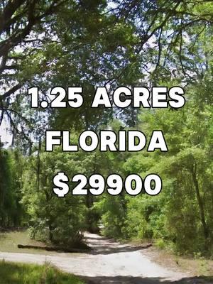 1.25 Acres with road access for Sale in Dunnellon Florida for $29,900 #land #property #investing #cheap #forsale #sale #vacantland #landcentury #USA #fyp #viral #realestate #realestateagent #realtor #realtors #realestateagents #flip #flips #flipping #properties #propertyforsale 